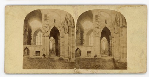 Stereoview stereoscope card - stereoview,