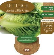 Lettuce - 'Green Little Gem' 6