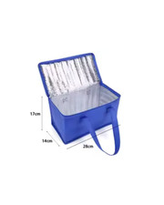 28L EXTRA LARGE COOLING COOLER