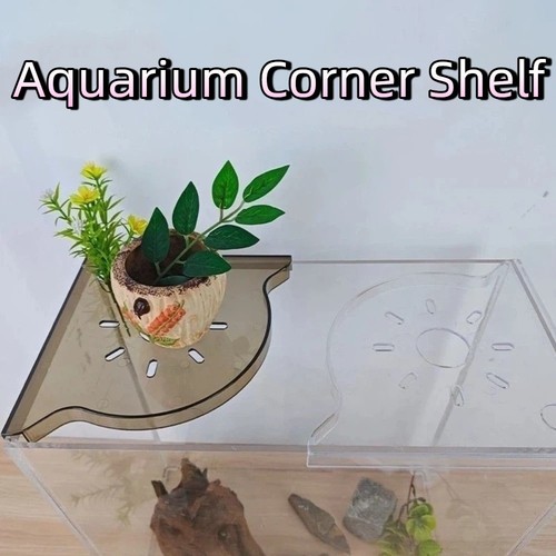 Fish tank shelf storage - shelf,