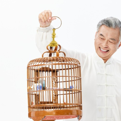 Bamboo cage hook bird - bamboo,