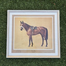 RED RUM 1979 Signed HORSE