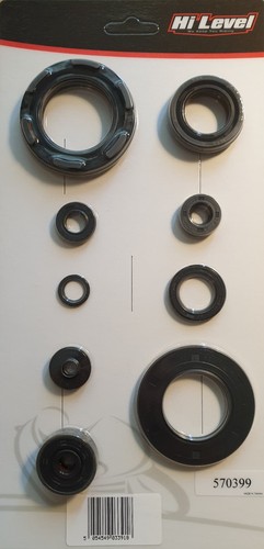 570399 engine oil seal kit - oil,