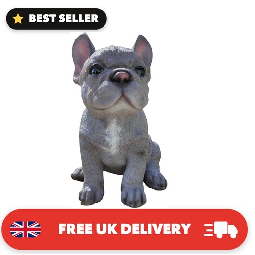 Pet pals blue french - blue,