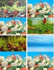 Aquarium Background 30cm High