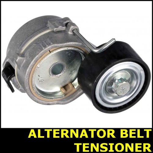 Ribbed belt tensioner - belt,