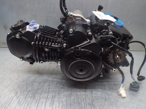Honda msx125 grom - honda,