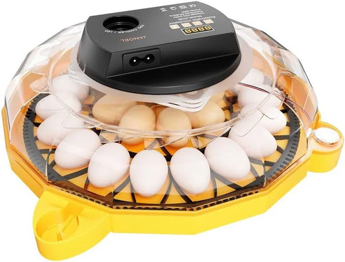 Janoel chicken egg - chicken, incubator