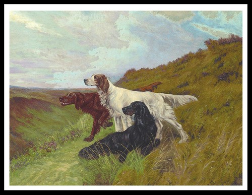 Gordon english and irish - gordon,