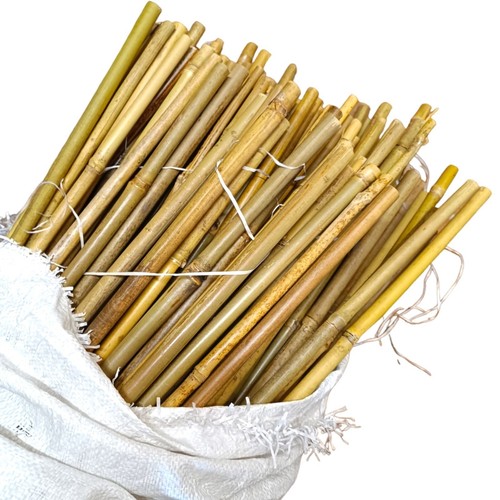 120 bamboo canes plant - 90/120,