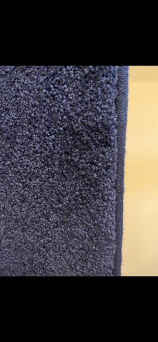 rug/carpet