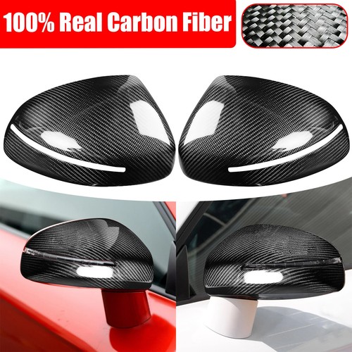 Carbon fiber exterior door - fiber,