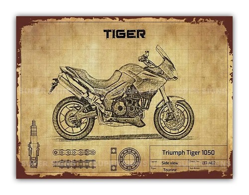 Triumph tiger style - style, motorcycle