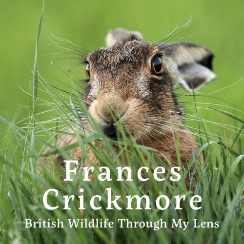 Frances crickmore british - crickmore,