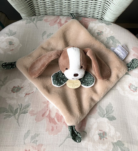Doudou compagnie puppy dog - et,