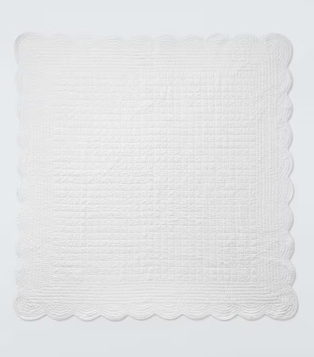 John lewis scallop - john,