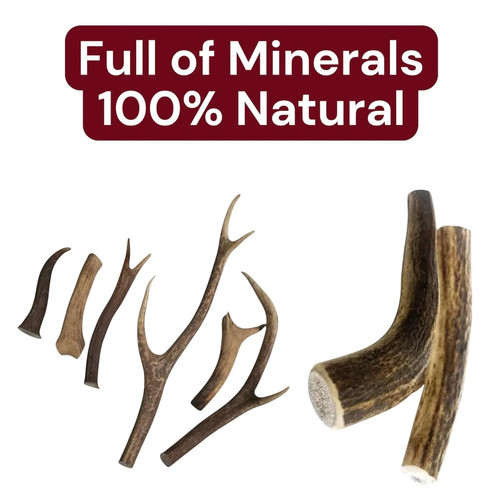 Antler dog chews - antler,