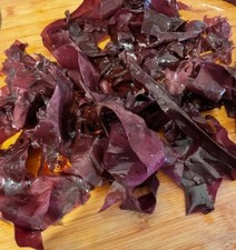 Fresh (not dried)  Dulse