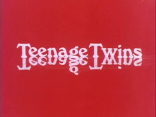 Teenage Twins 1976 Public Domain DVD