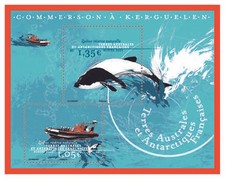 Taaf   2020  Zodiac boat whale