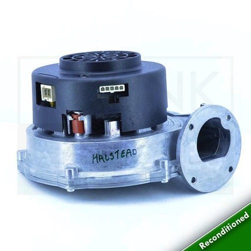 Halstead ace 24he - 24he,
