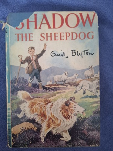 Shadow the sheepdog enid - shadow,