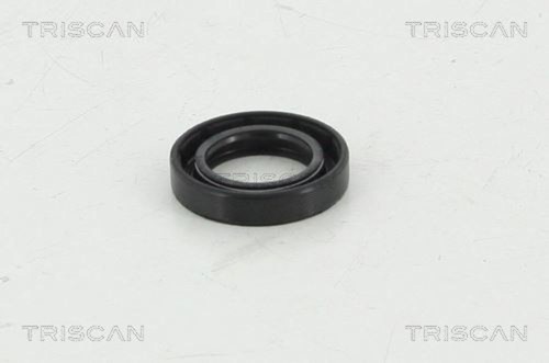Triscan manual transmission - manual,