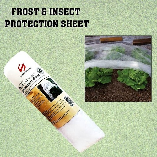 Frost fleece plant protection - frost,