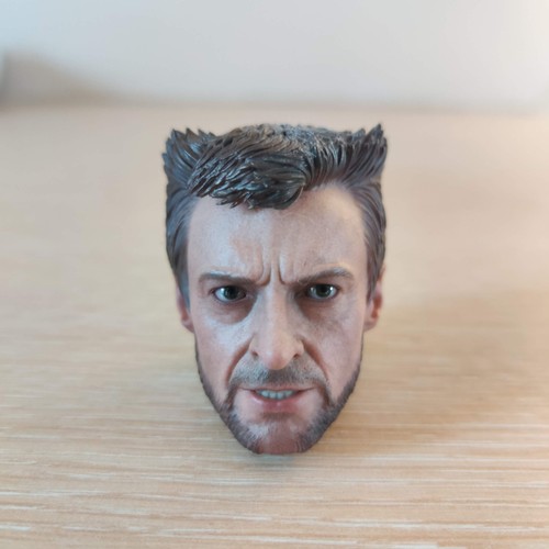 Hot toys wolverine hugh - toys,
