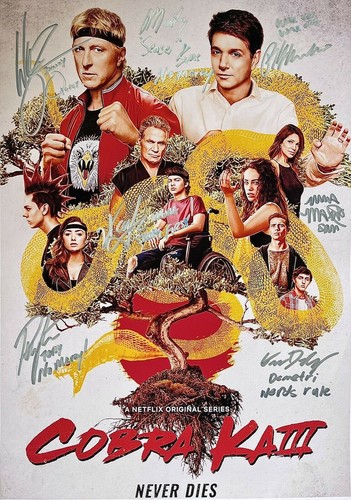 Cobra kai cast - cast, tv