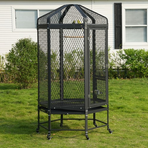 Large bird cage flight - 71",