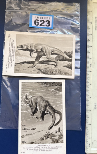 Np623 dinosaur collectables - np623,