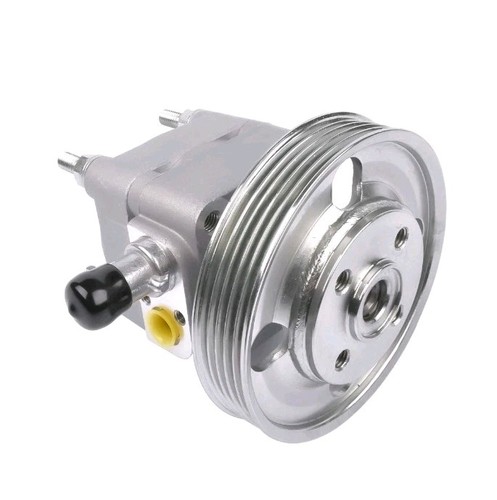 Power steering pump fit - power, ford