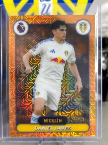 Topps merlin premier league - merlin,