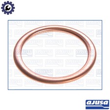 SEAL RING OIL DRAIN PLUG
