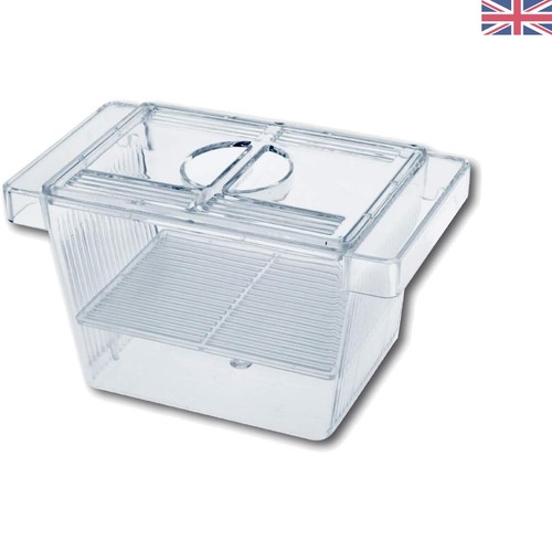 Elegant technik breeding box - technik,