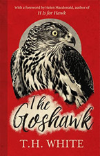 The goshawk with new - the, goshawk: