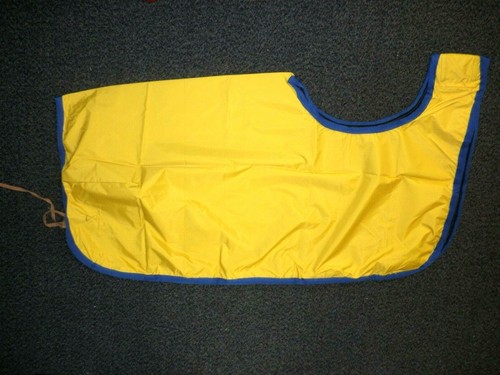 Yellow with royal blue trim - with,