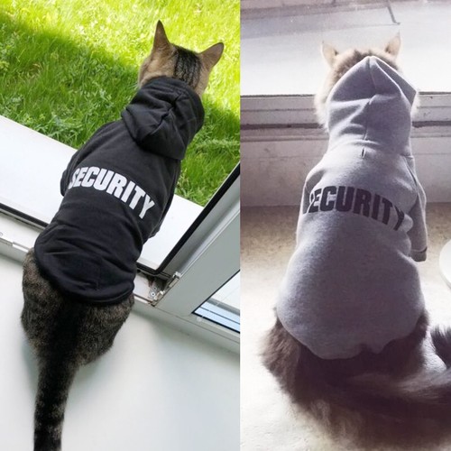Security cat clothes - security,