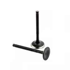 Inlet & Exhaust Valves GY6