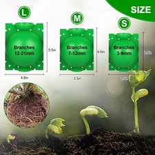 Tree Root Growing Box, Rooting