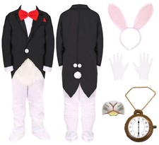 KIDS MR WHITE RABBIT COSTUME
