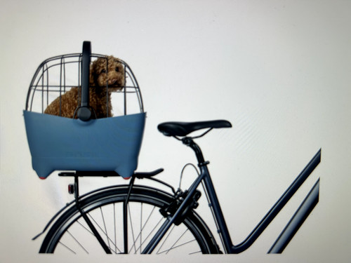Basil buddy dog - basil, bicycle