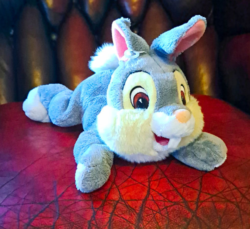 Disneyland resort paris - disneyland,