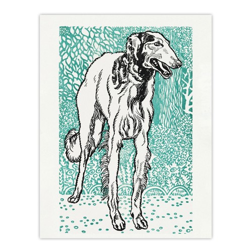 Long haired greyhound russian - haired,