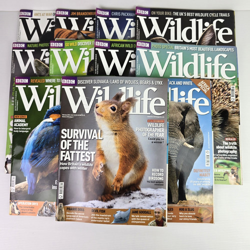 Bbc wildlife magazines - 11,