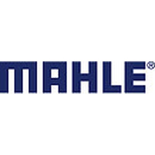 Mahle 029 18071 - 029, hs