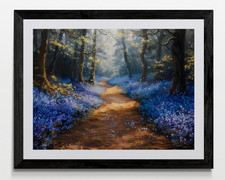 Bluebell Woodland Forest
