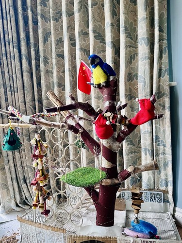 Large natural wood parrot play - parrot,