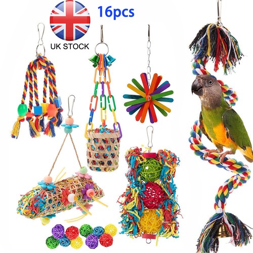 Pack parrot toys - set, swing